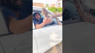 fake snake 🐍 wala new video