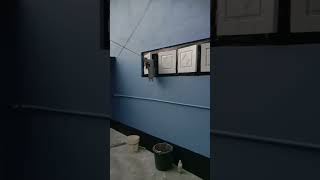 Exterior Wall Painting. #exteriorpainting #homepaint #shortvideo