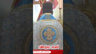 വിശുദ്ധ കുർബ്ബാന | Full Video 👆 Watch Click ▶️ Button | Rev. Fr. Mathai Zachariyah | #thefosmediahd