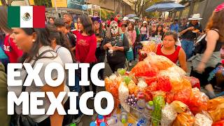 我唔信呢度係墨西哥 🇲🇽