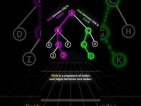 Path in Tree  |  DSA  | #shorts #dsa #computerscience  #coding #engineering #tree #cse #shortsfeed
