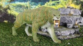 Rebor 1/11 Smilodon Populator "Stray Cat" - BBTS Exclusive!