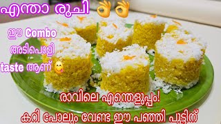 പുട്ട് ഇതാണേല്‍ വീണ്ടും വീണ്ടും ചോദിച്ചു വാങ്ങി കഴിക്കും |Soft Puttu |Paal Puttu Recipe in Malayalam