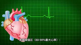 心率训练：优化你的运动效果