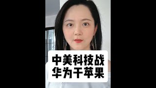 中美科技战之华为干苹果！华为三折叠炒上9万天价 #华为 #苹果