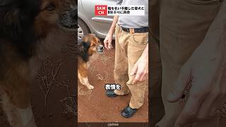 職を失って手離した犬と8年ぶりの再会