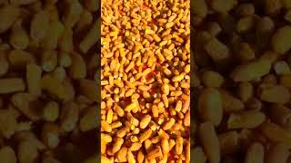 Dry Dates Export from Pakistan