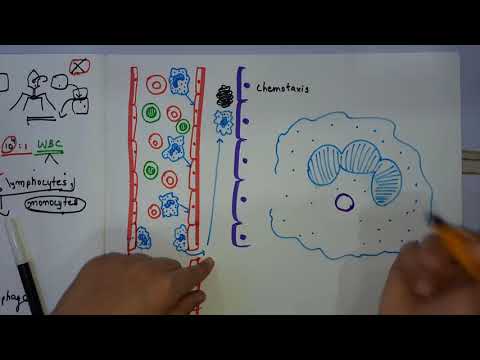 IMMUNOLOGY// Part - 1 Non specific Immune Response