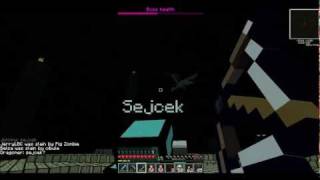 Netfire.cz PvP EnderDragon