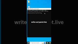 parrot🦜 dance in cmd prompt window |  dancing parrot in cmd | parrot in cmd | windows cmd parrot