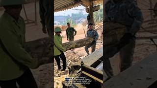Log processing at sawmill: workers using machinery to strip bark off logs for further processing