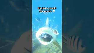 Just a silly prank 🤪 #ocean #shark #memes