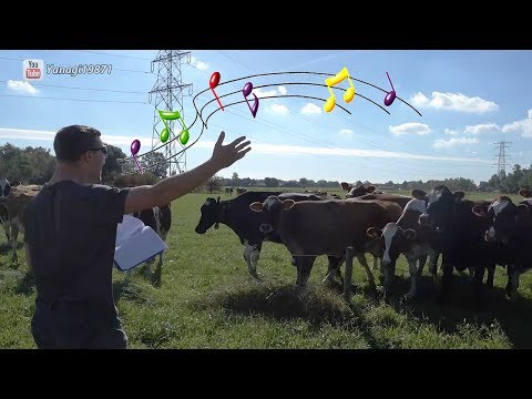 The Return of The Burping Cow Whisperer