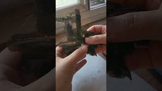 Resin Support Removal (ASMR) #dprint #dprinting #3dprint #printing3d