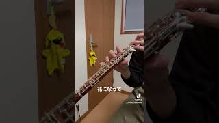 花になって #doublereed #oboe #オーボエ #music #吹いてみた #吹奏楽 #薬屋のひとりごと
