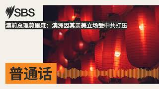 澳前总理莫里森：澳洲因其亲美立场受中共打压 | SBS Mandarin - SBS 普通话电台