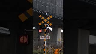 電鈴式踏切 #shorts