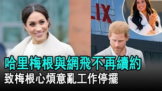巨大打擊！哈里梅根與網飛不再續約，致梅根心煩意亂工作停擺#哈里#梅根#威廉#查爾斯#凱特#戴安娜#卡米拉#夏洛特公主#路易#英國王室#娛樂星聞