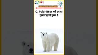 What is the skin color of Polar Bear ? #shorts