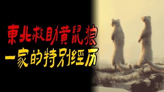 东北救助黄鼠狼一家的特别经历|哥哥去世后我没去看过|一位老师的校园灵异经历|鬼故事|解压故事#都市傳說#靈異事件#佛牌#泰国#恐怖故事#亲身经历#助眠#睡前故事#灵异故事#懸疑故事#horror#電影
