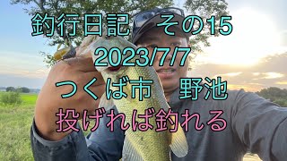 釣行日記　その15 2023/7/7 つくば市　野池