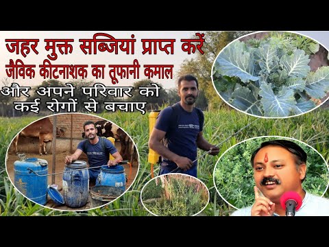 जैविक कीटनाशक कैसे बनाए/How to make organic pesticides