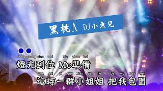 黑桃A - DJ小鱼儿【备有清晰版伴奏】
