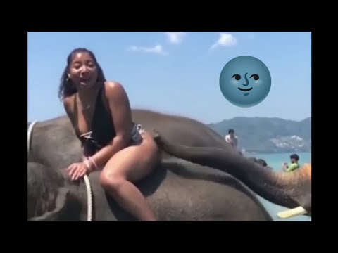 You Laugh You get pregnant 😭 #funnymemes #2