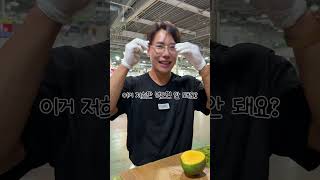 이런 '망고' 본 적 있나요? '케이트애플망고'🥭