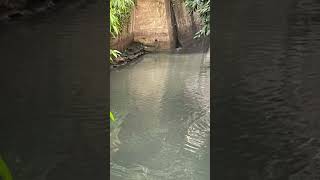 基隆田寮河上游東明大排（上游河流至下游運河過渡段）（2021年9月拍攝）🏞️