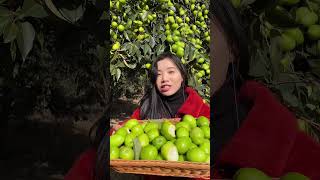 Beautiful Nature with Rural Life #1269