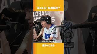 폭시나인 부상투혼 댓글반응