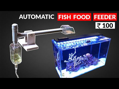 Homemade automatic Fish Food Feeder