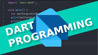 Dart Handling Exceptions