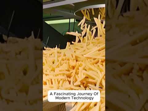 McDonald's French Fries Mega Factory: How Millions of Fries Are Perfected with Cutting-Edge Tech