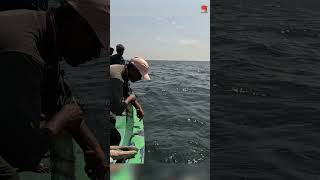 Catching Rosy Snapper in the Deep Sea #fishing #fishingvideo #fishingtime
