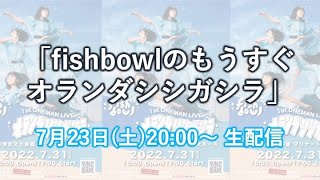 【生配信】fishbowlのもうすぐオランダシシガシラ