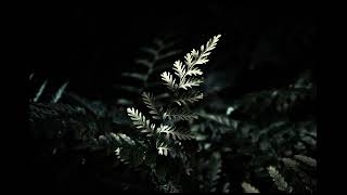 Mix-youtub audio libary musique
