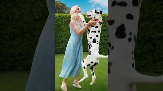 #dogloverssong  #ilovemydog #animals #dog #petstagram #dogslife #instagood#happydog