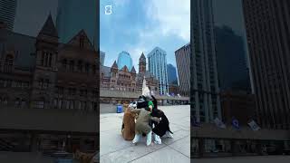 薛之谦天外来物巡回演唱会多伦多站【ShowPro with JOKERXUE  】Extraterrestrial World Tour Live in Toronto