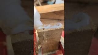 Tips Work Future Hacks Tools Tricks #Tooltips #tips #trend #tricks #tipstricks #viral