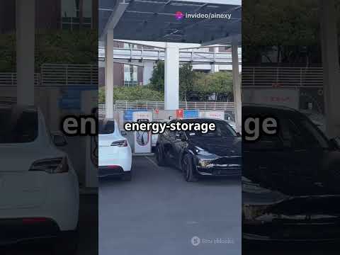 Tesla's Turbulent Ride & EV Milestones!
