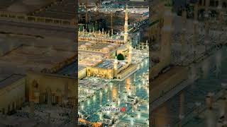 mashallah ❤️#imamqasim #foryou #islamicvideo
