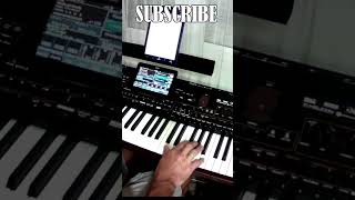 Dire Straits - Walk Of Life - Korg Pa4X Cover By Johnny Music