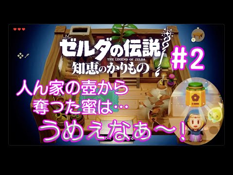 光の力、お借りします！【ゼルダの伝説 知恵のかりもの】#2