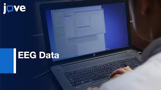 Neural Activity and Connectivity Analysis using EEG Data | Protocol Preview