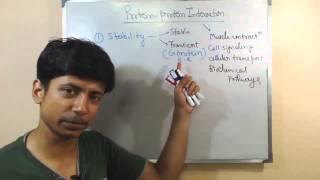 Protein protein interaction