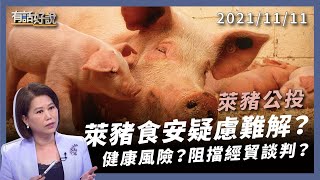 萊豬食安疑慮難解？公投過關，會阻擋經貿談判？（公共電視 - 有話好說）