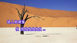 李竺芯=荷爾蒙（字幕MV）
