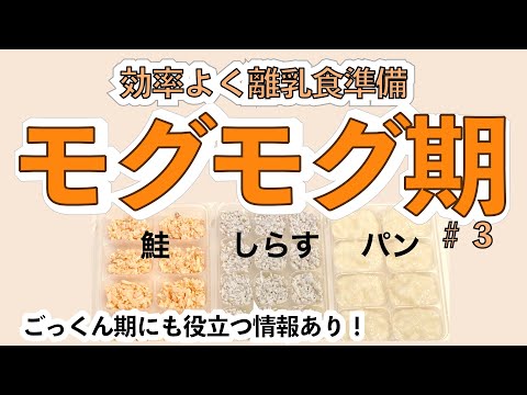 【離乳食】パンがゆ・しらす・鮭の冷凍ストック作り【モグモグ期・（ごっくん期用も少し）】
